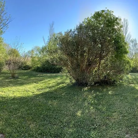 Ferienwohnung Nid Douillet Avec Terrasse Au Calme Arles Exterior foto